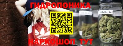 крисы Обь